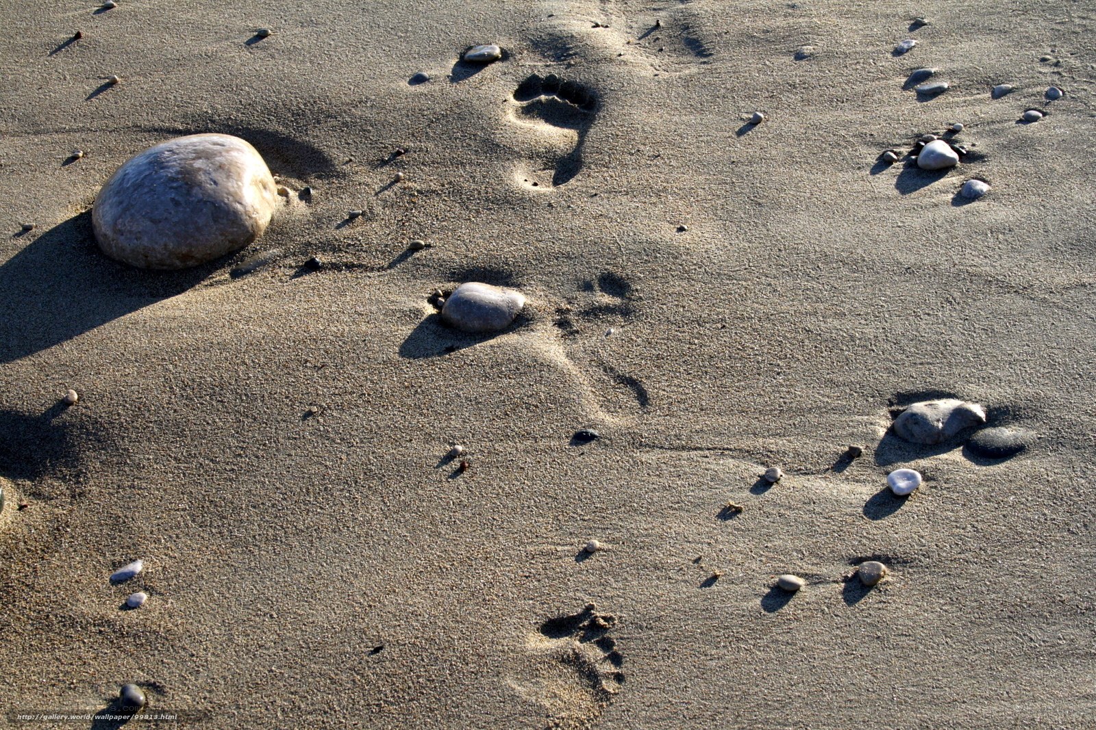 Footprints in the sand