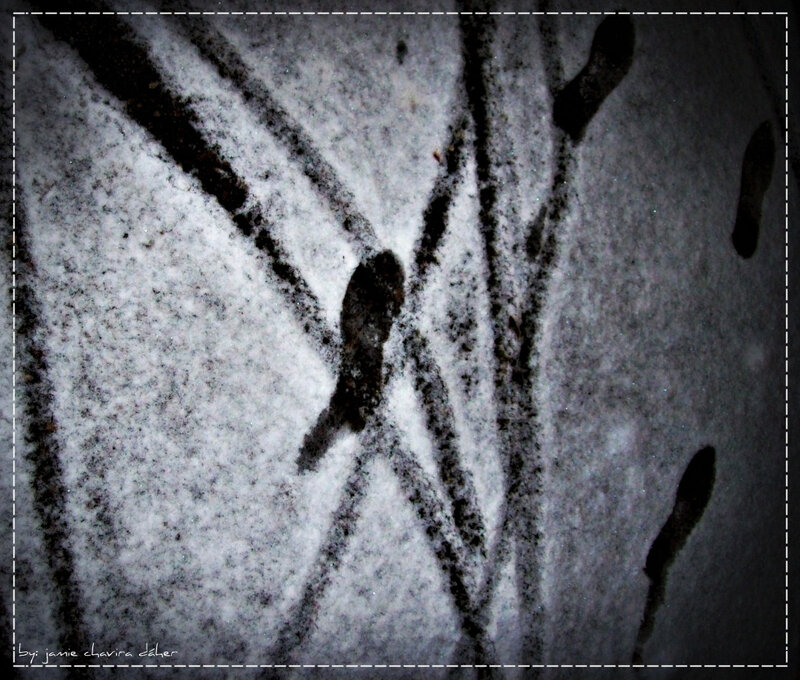 footprints in the snow