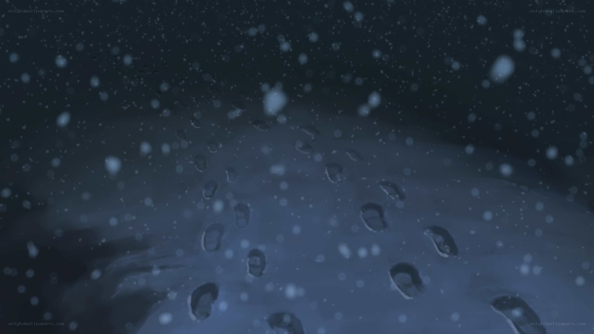Footprints in the snow