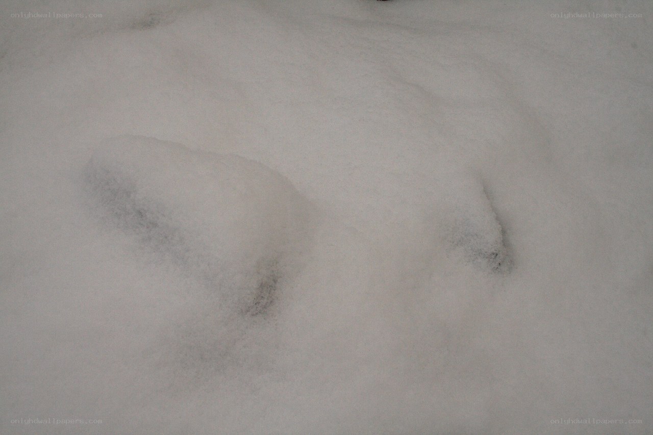 footprints in the snow