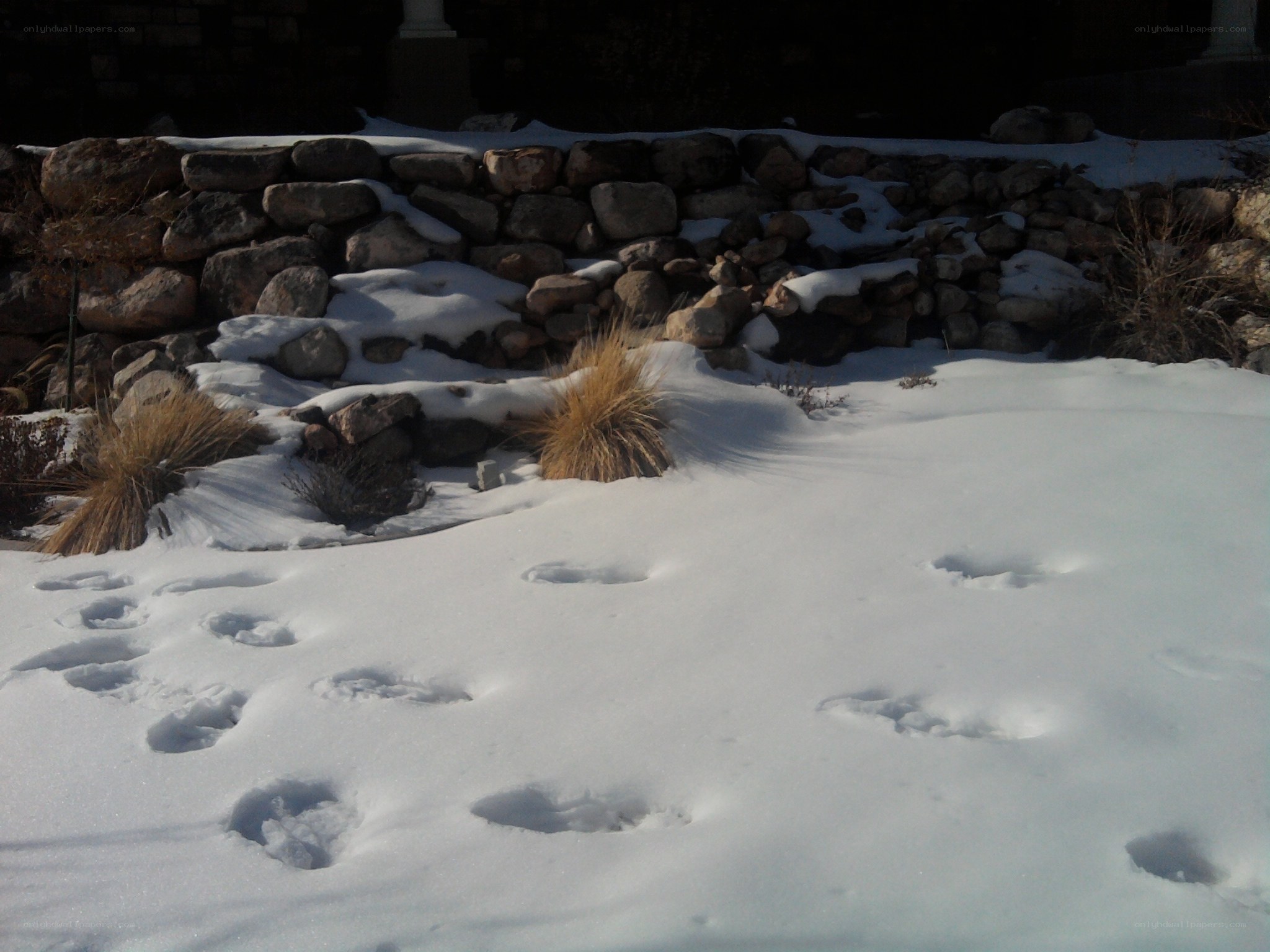 Footprints in the snow