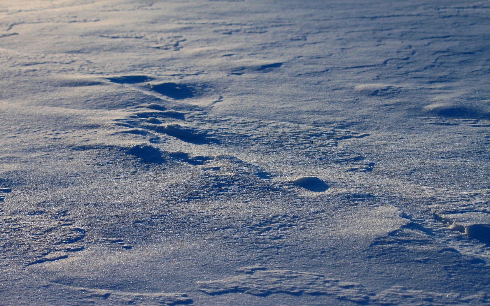 Footprints in the snow