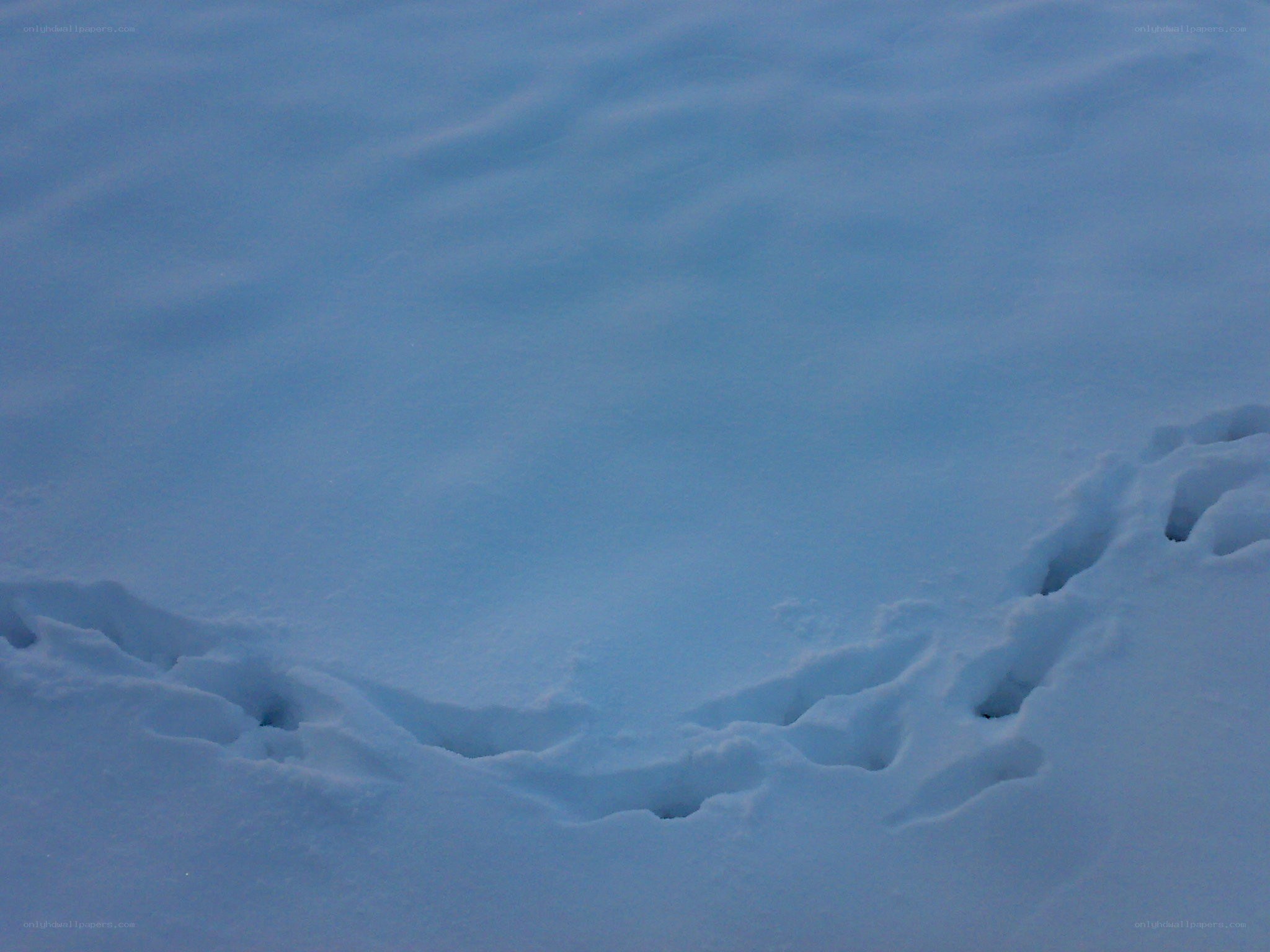 Footprints in the snow