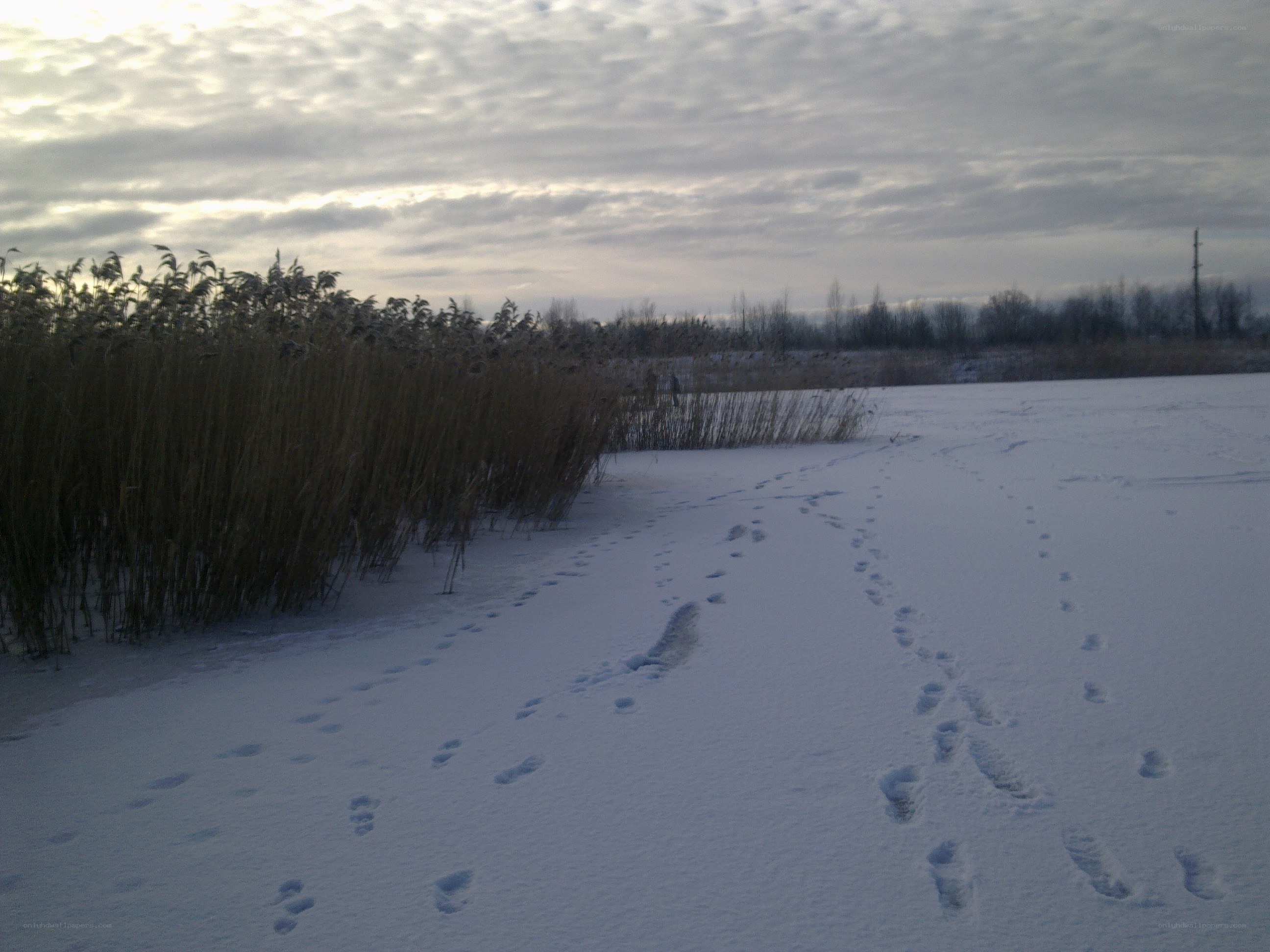 Footprints in the snow