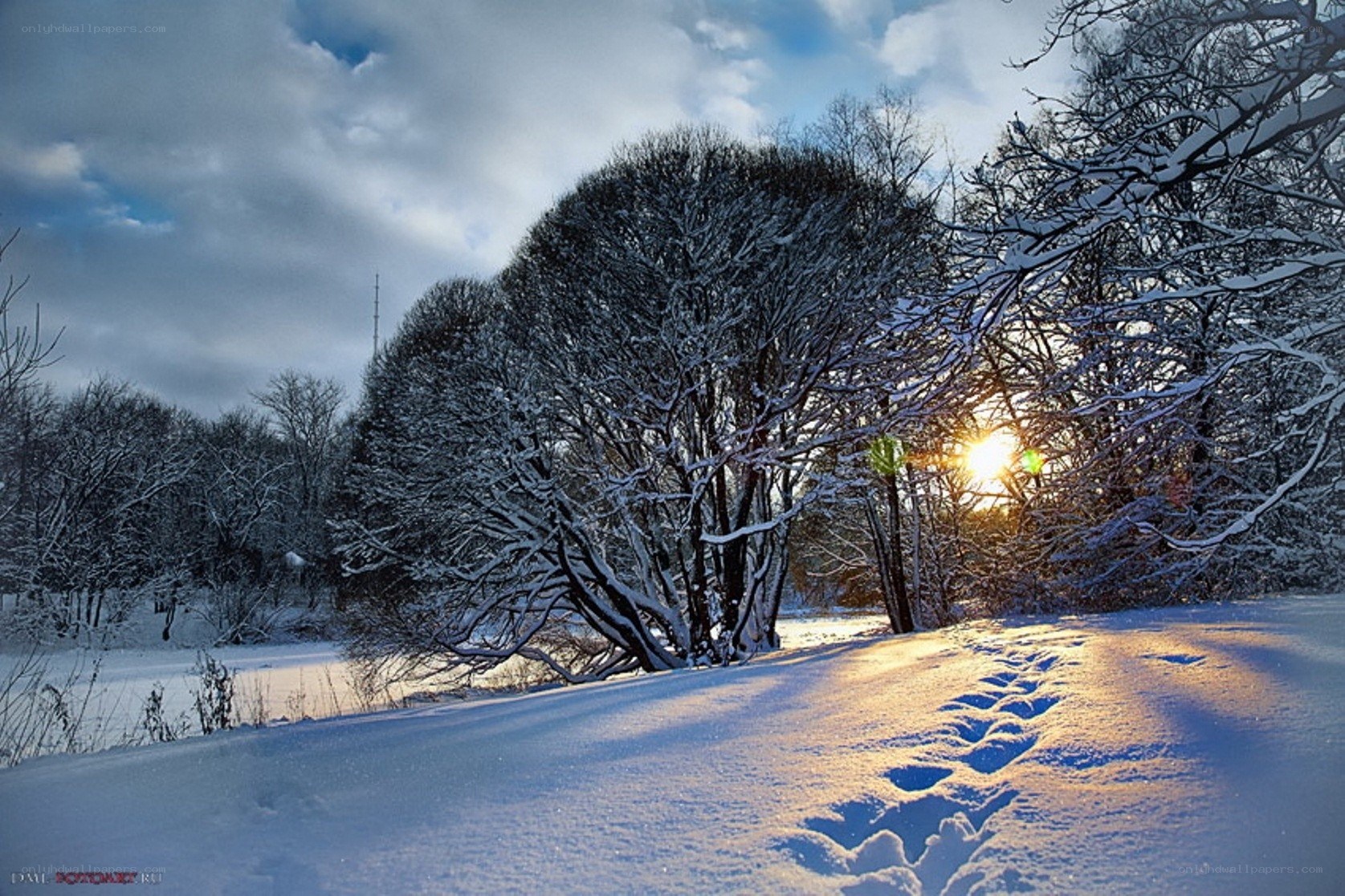 Footprints in the snow at sunset