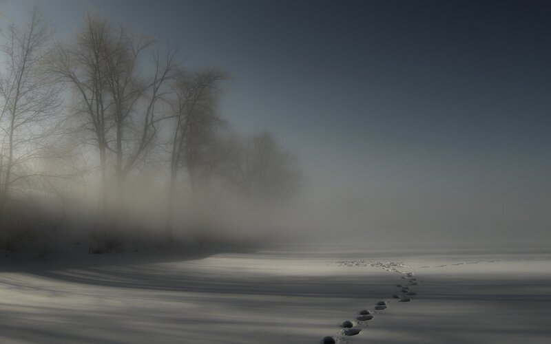 Footprints in the snowy fog