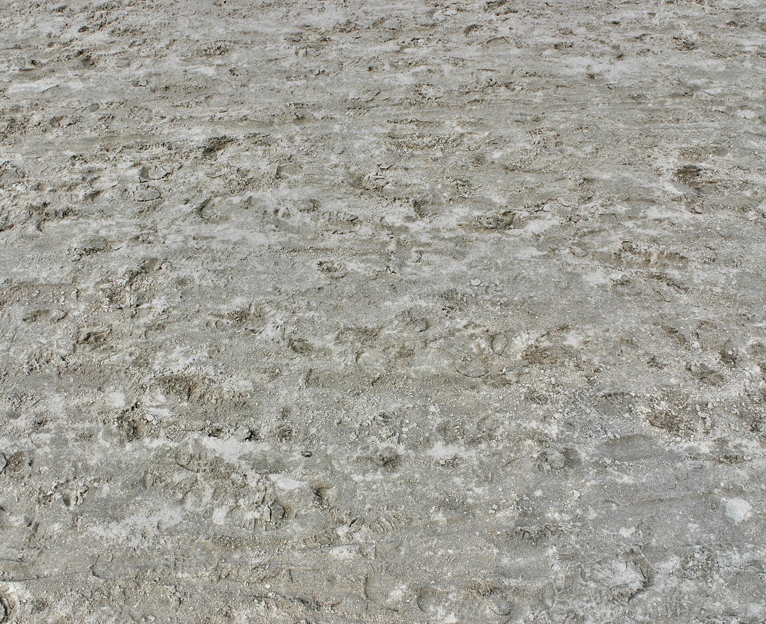 footprints in wet sand