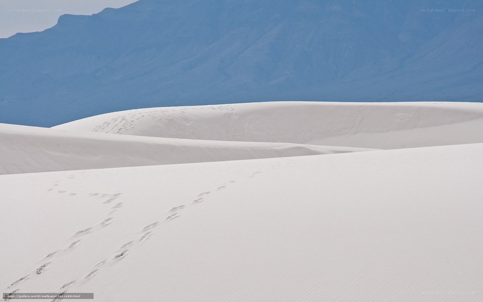 Footprints in white sand dunes