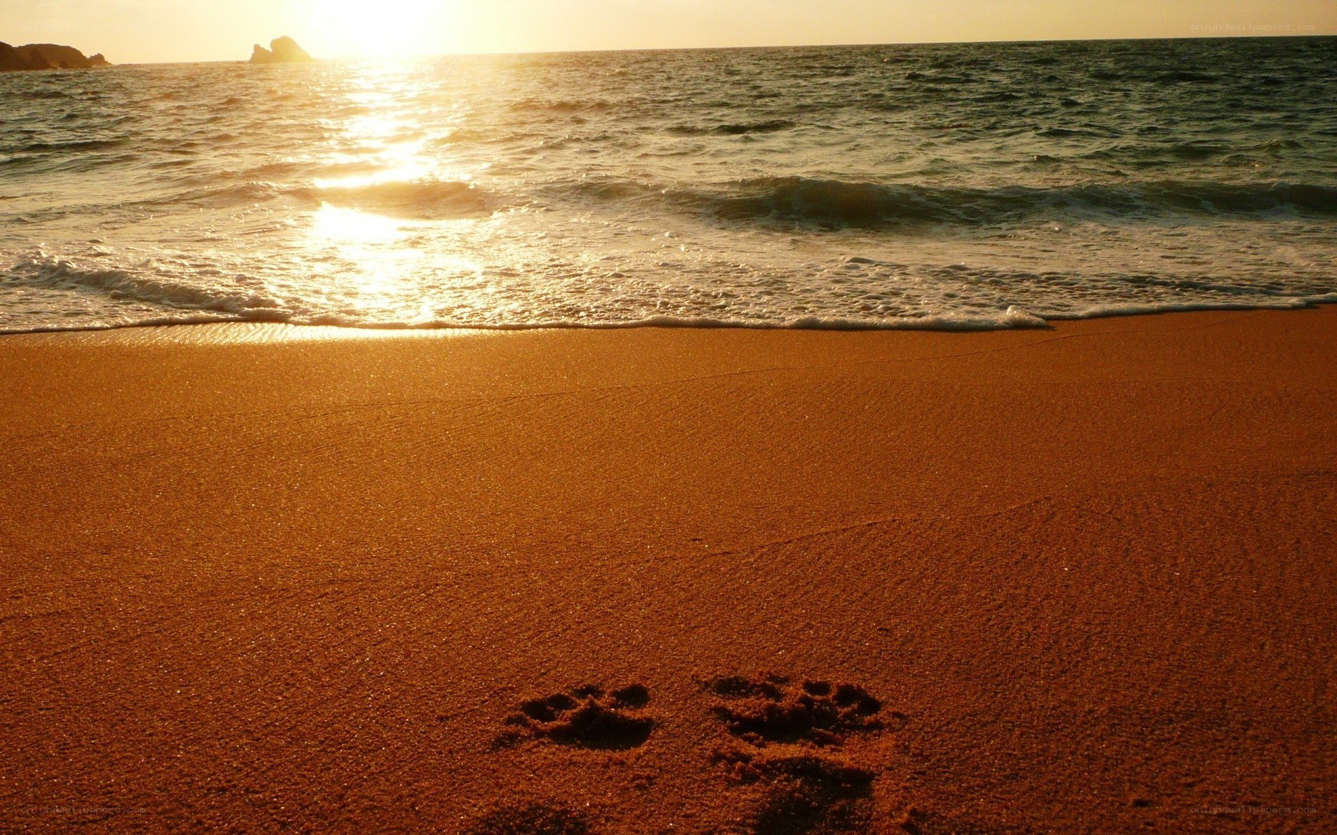 Footprints on a beach at sunset