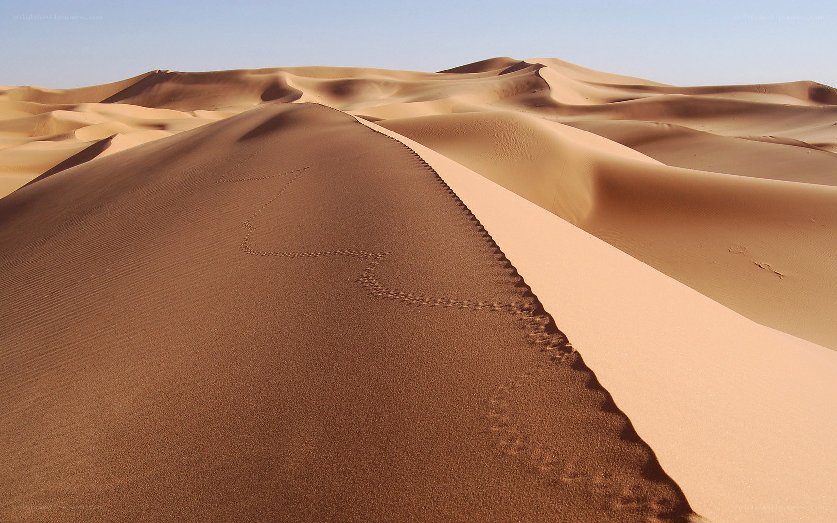 Footprints on a desert dune