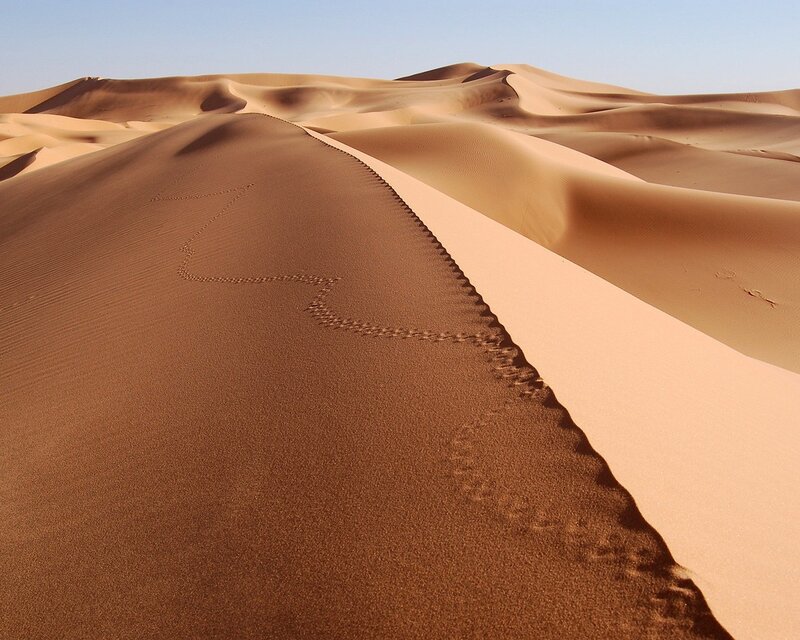Footprints on a desert dune