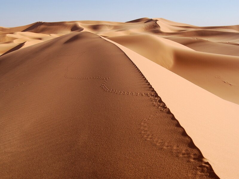 Footprints on a desert dune