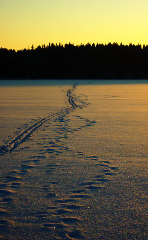 Footprints on a frozen lake at sunset