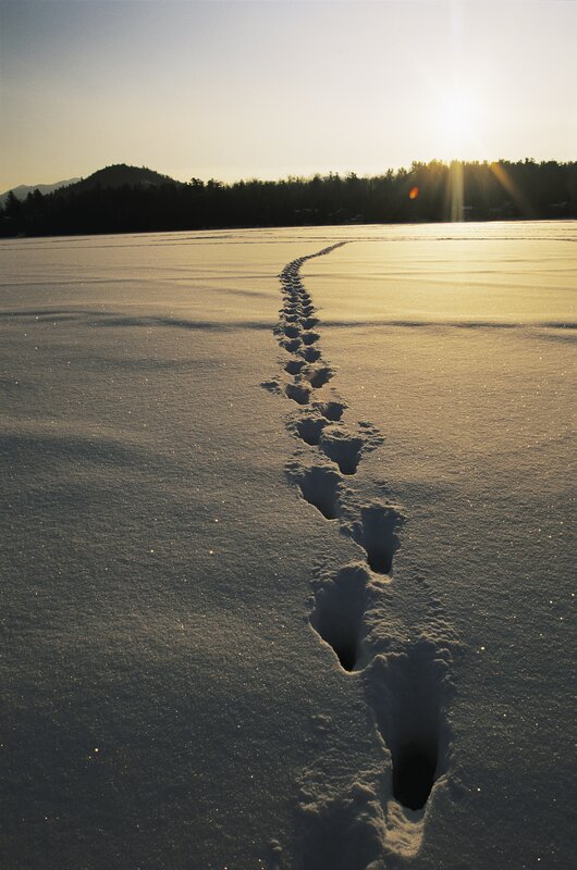 Footprints on a frozen lake