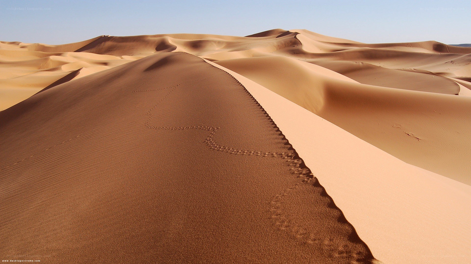Footprints on a sand dune