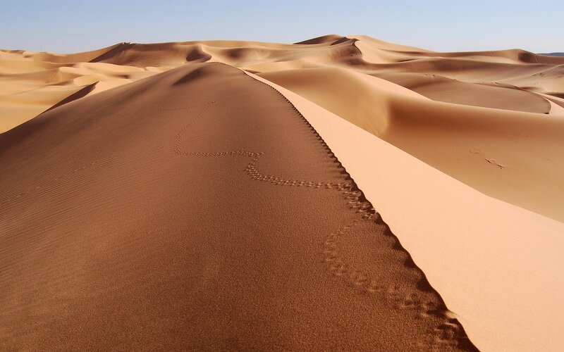 Footprints on a sand dune