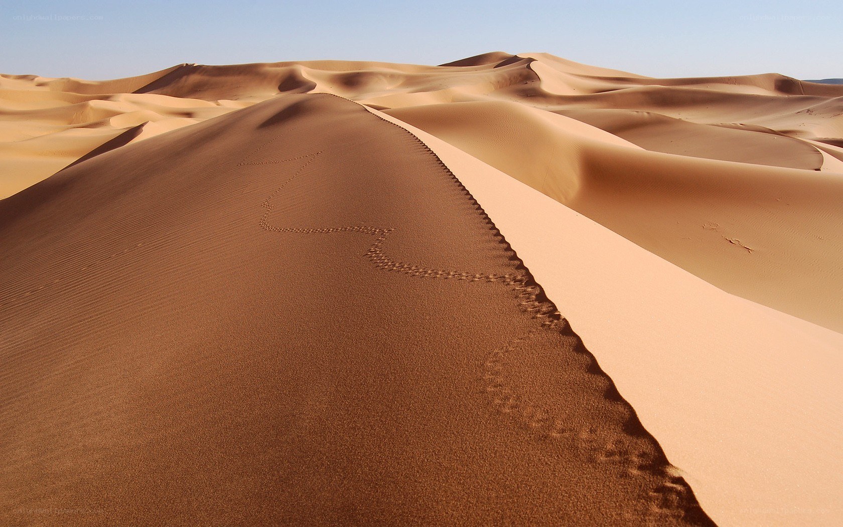 Footprints on a sand dune