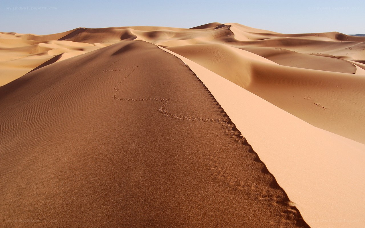 Footprints on a sand dune