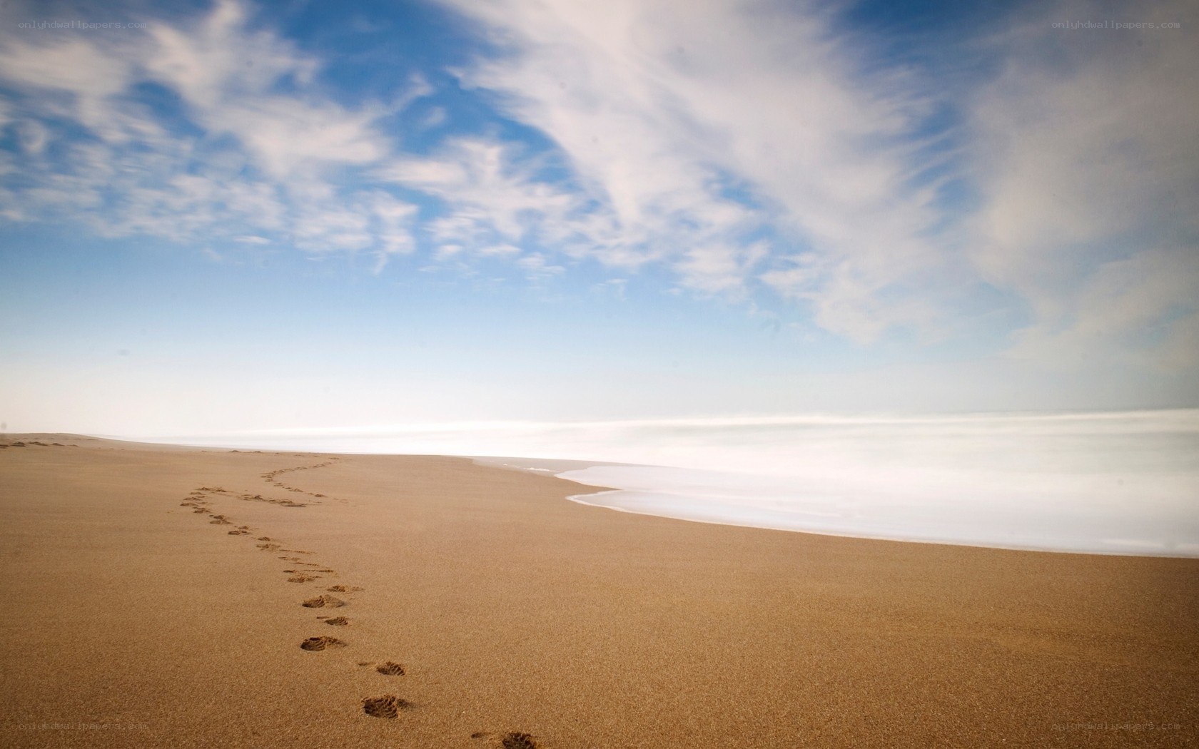 Footprints on a sandy beach