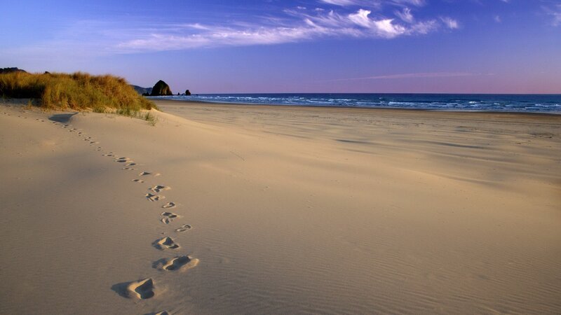 Footprints on a sandy beach