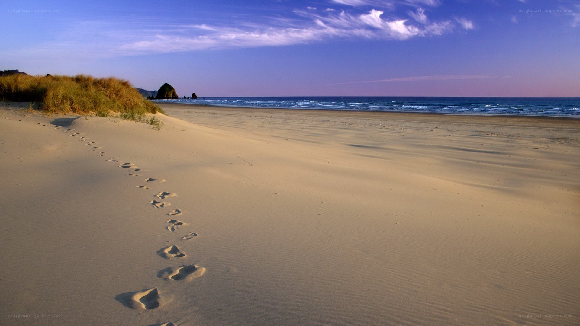 Footprints on a sandy beach