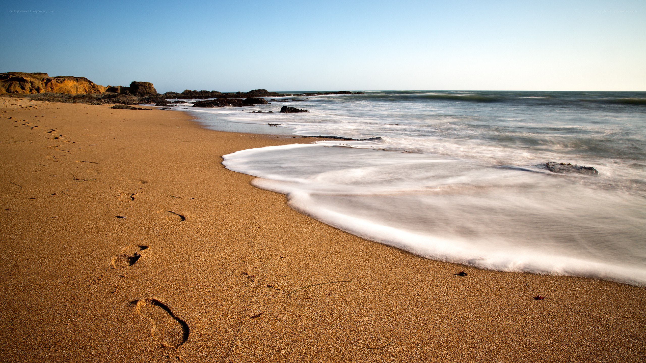 Footprints on a sandy beach