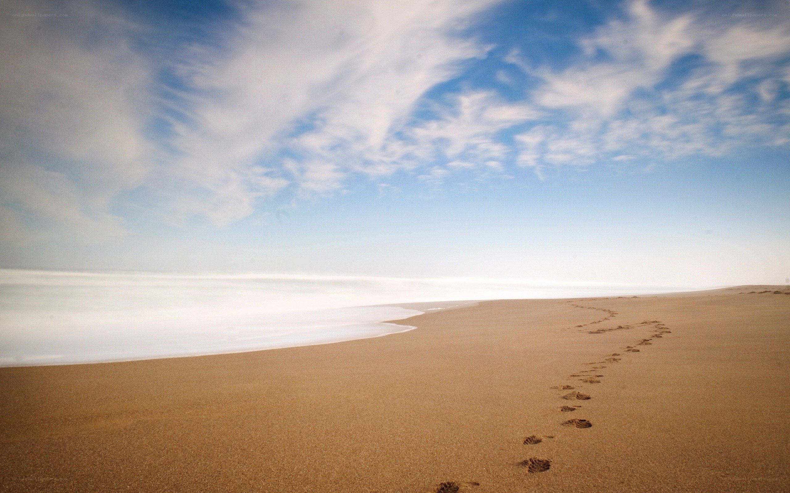 Footprints on a sandy beach