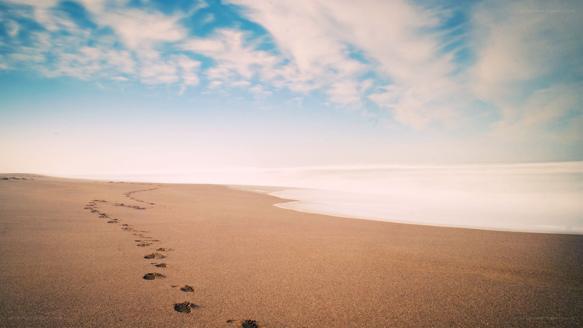 Footprints on a sandy beach