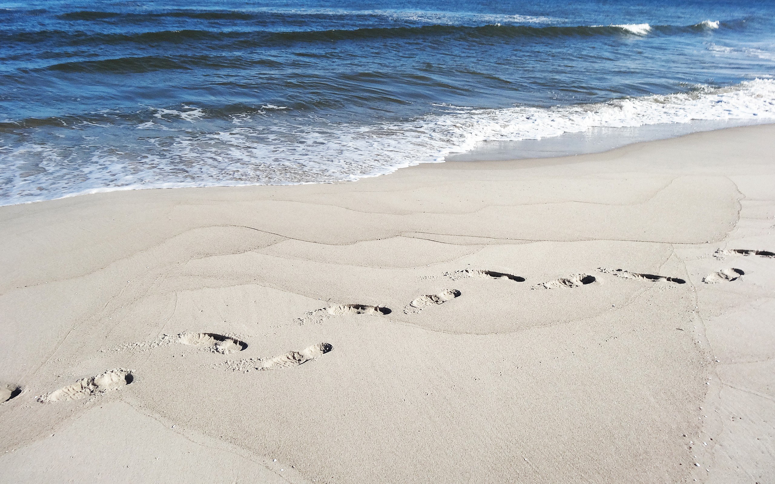 Footprints on a sandy beach