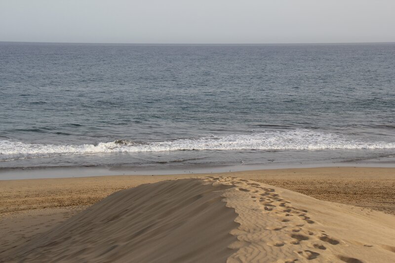 Footprints on a sandy beach