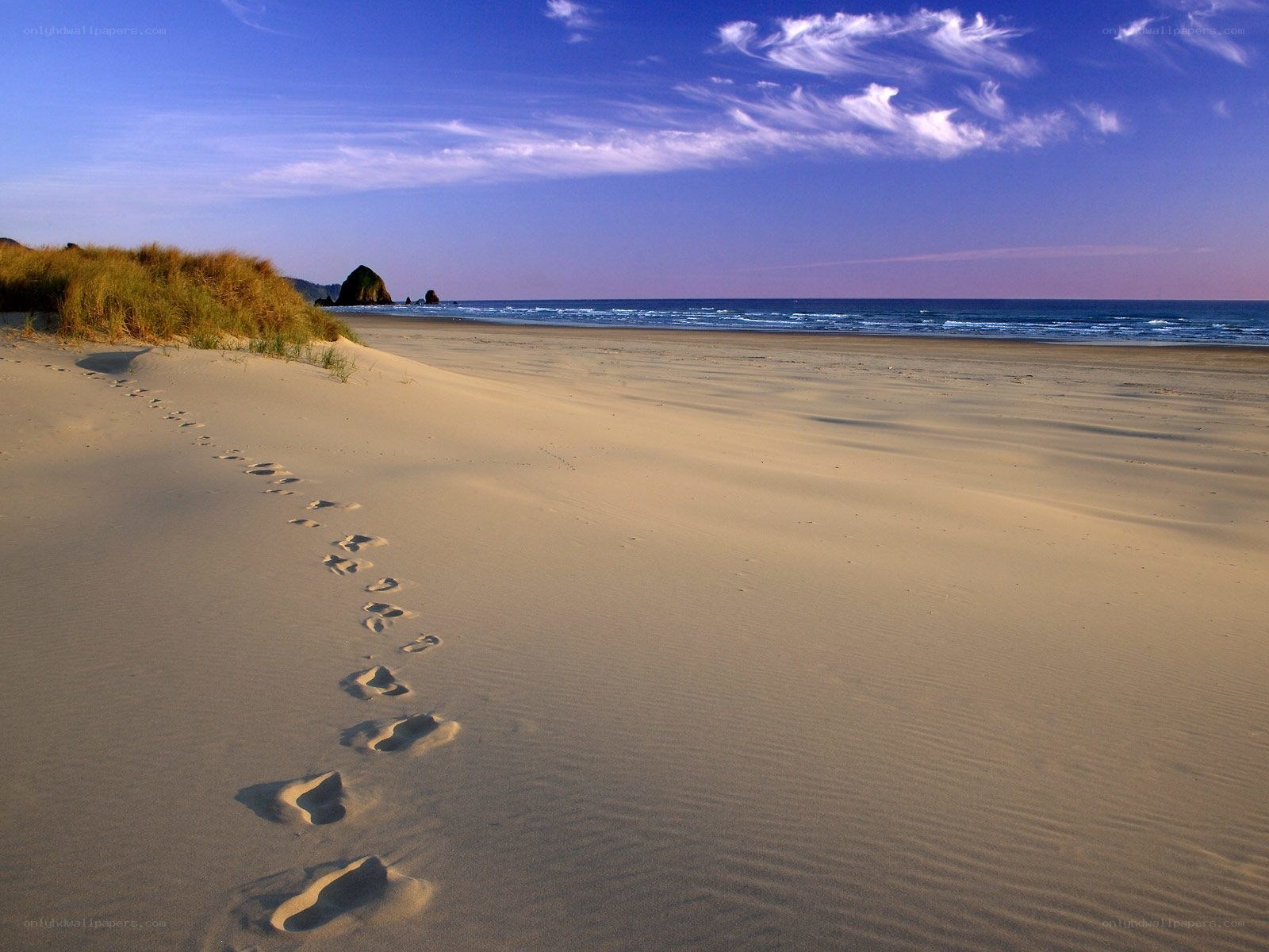 Footprints on a sandy beach