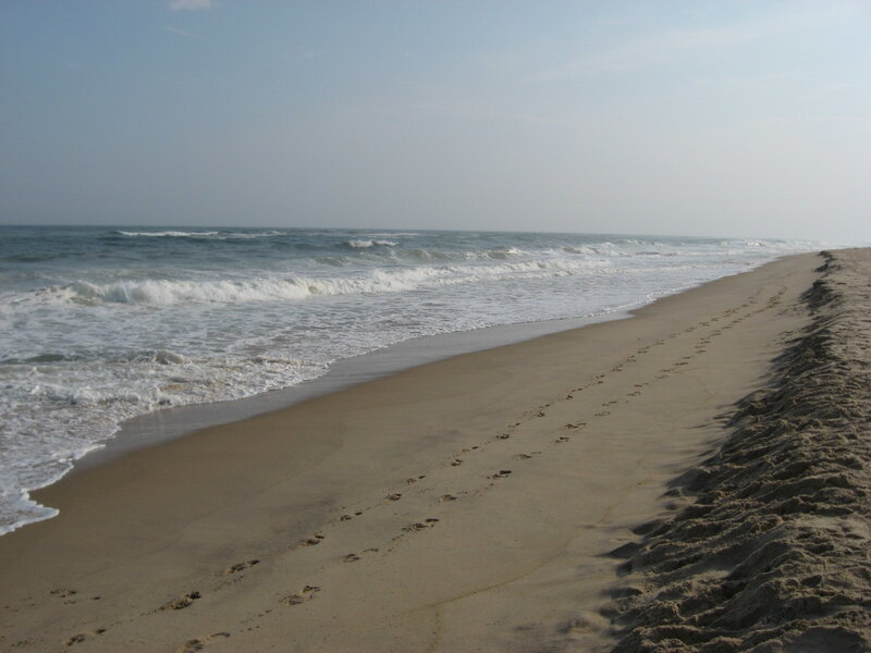 Footprints on a sandy beach