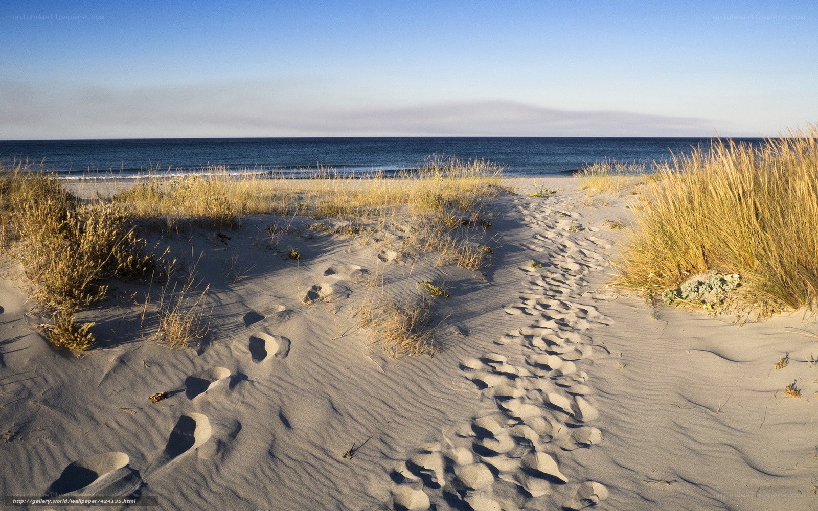 Footprints on a sandy beach