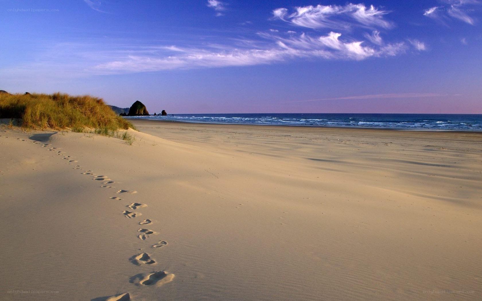 Footprints on a sandy beach