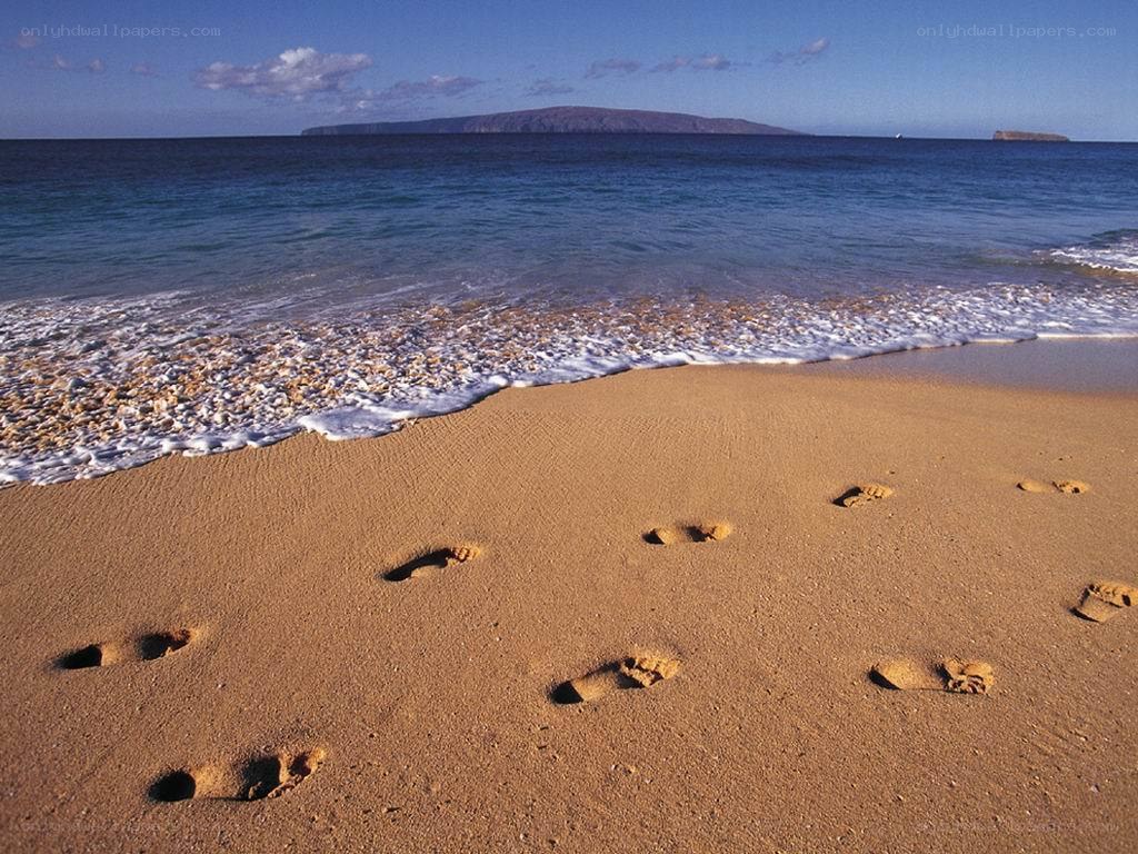 Footprints on a tropical beach