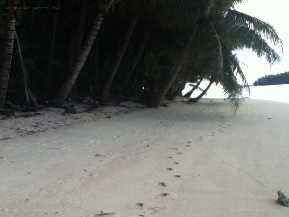 Footprints on a tropical beach