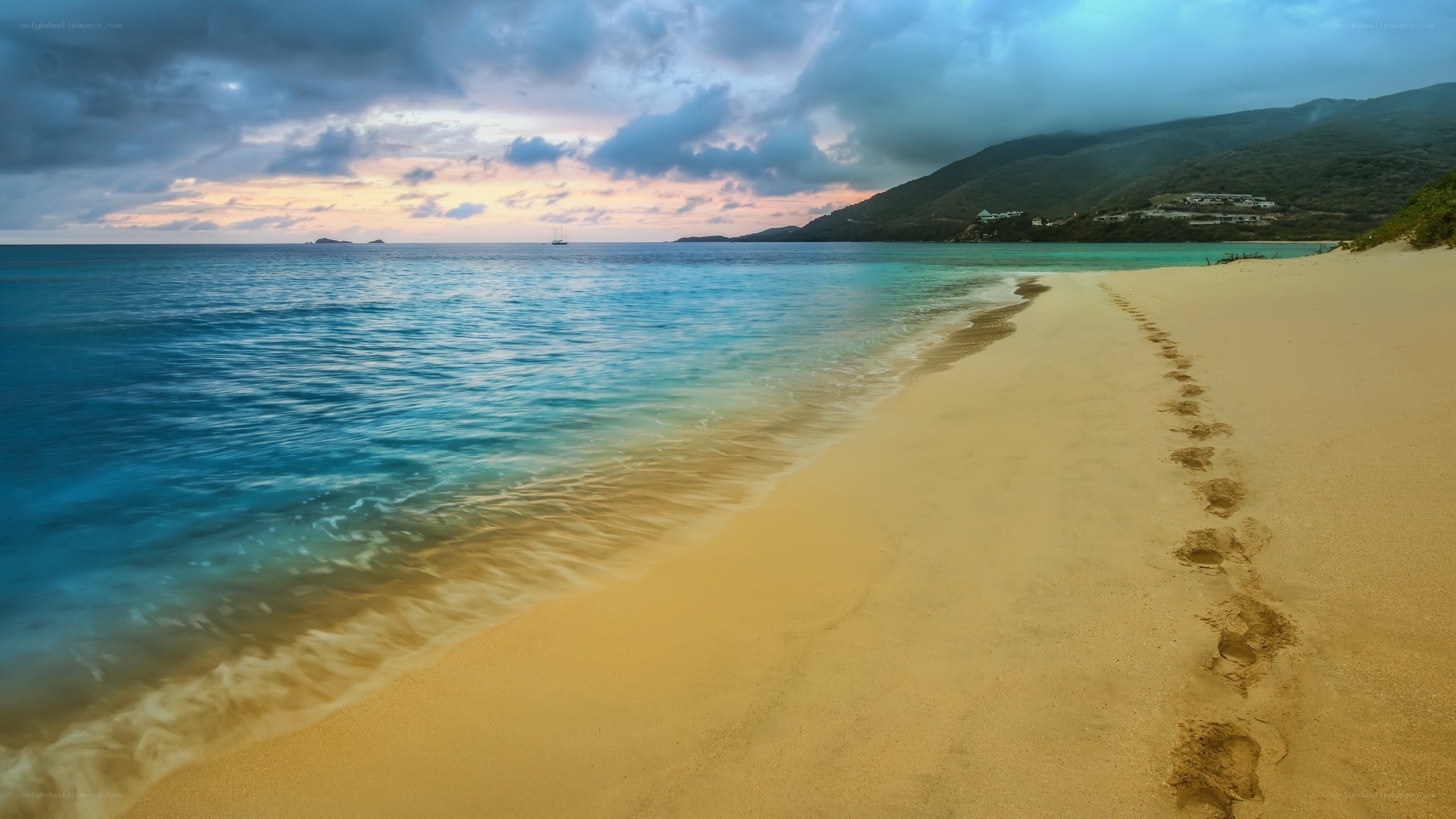 Footprints on a tropical beach
