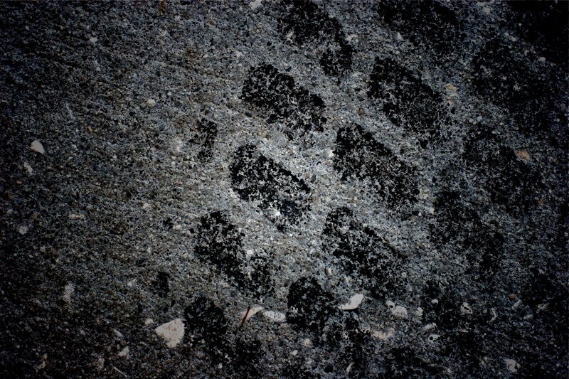 footprints on concrete surface