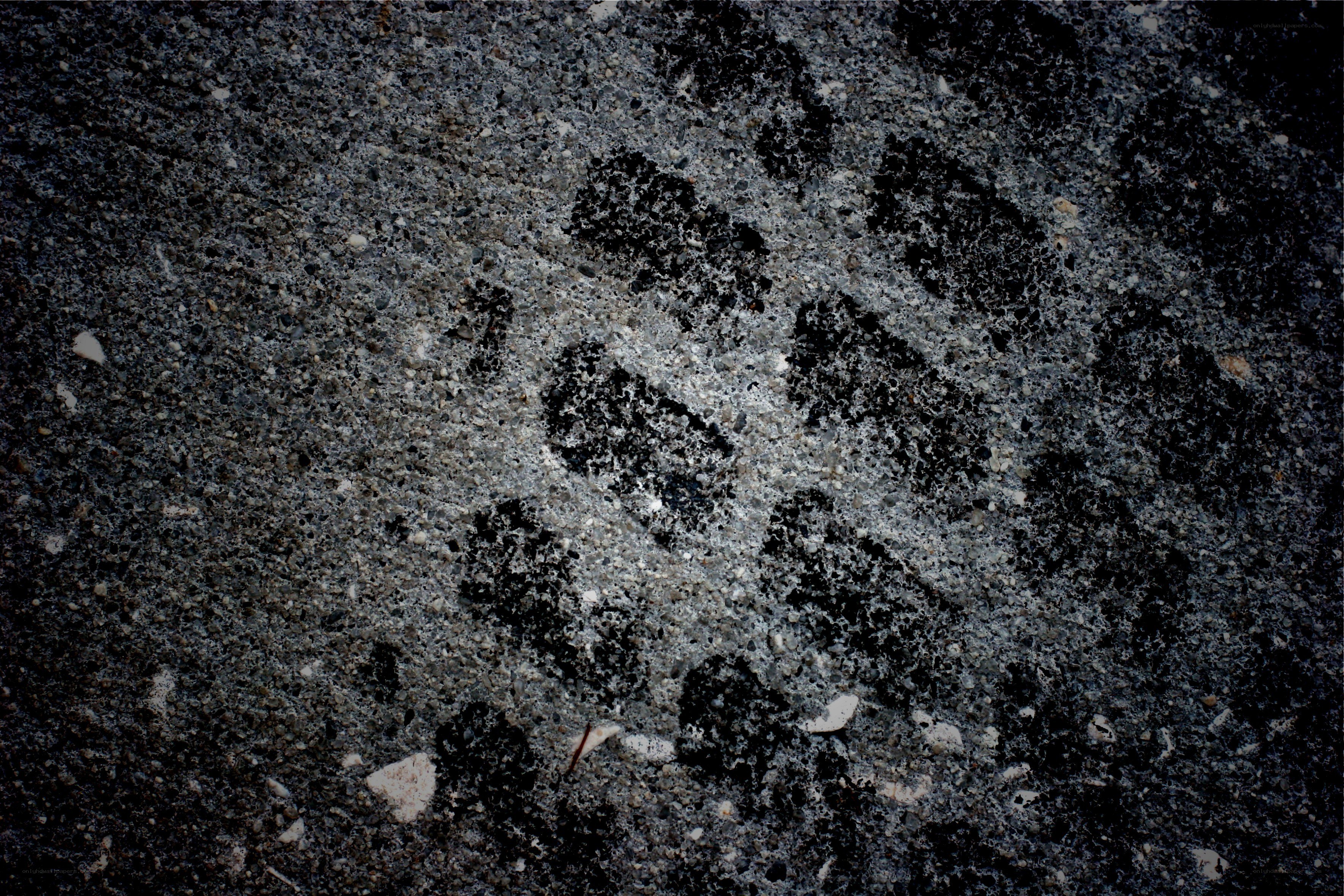 footprints on concrete surface