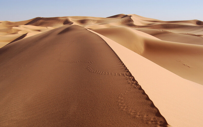 Footprints on Sand Dune — Brown, Desolate