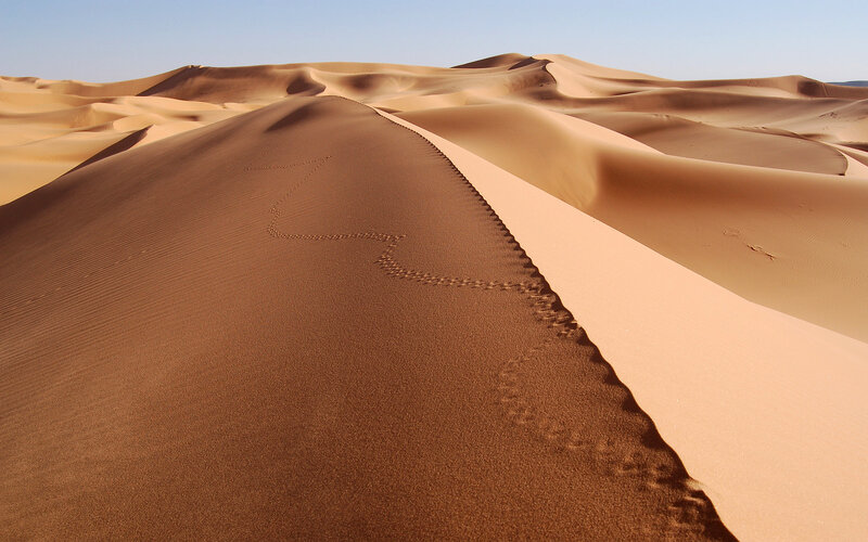 Footprints on Sand Dune — Brown, Serene, Afternoon, Photograph, Sand Dunes, Sky