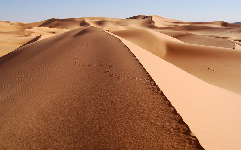 Footprints on Sand Dune — Brown, Serene