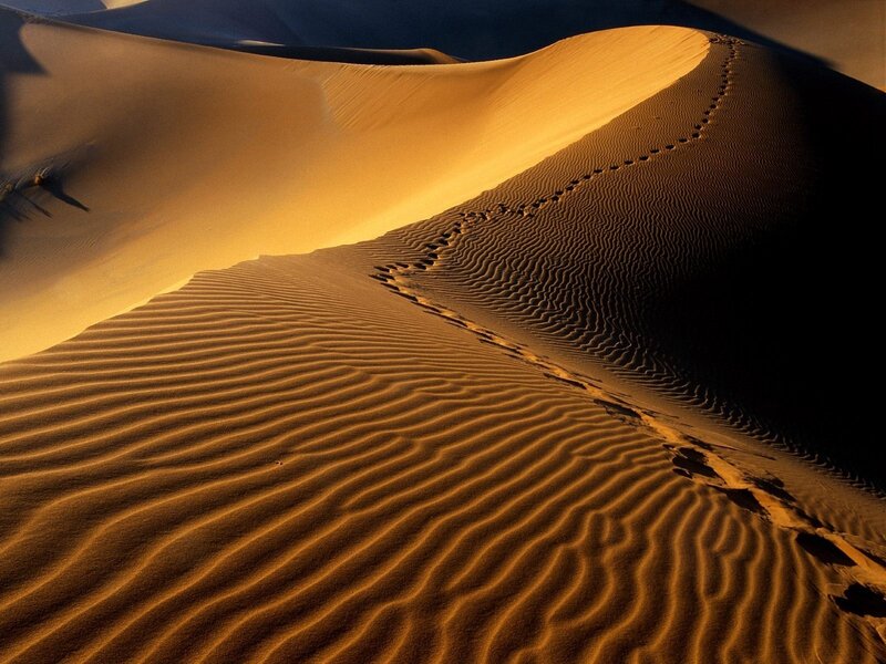 Footprints on Sand Dune — Orange, Dramatic, Sunset, Photograph