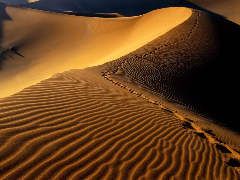 Footprints on Sand Dune — Orange, Dramatic, Sunset