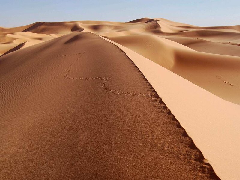 Footprints on Sand Dune