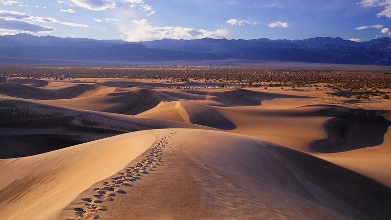 Footprints on Sand Dunes — Brown
