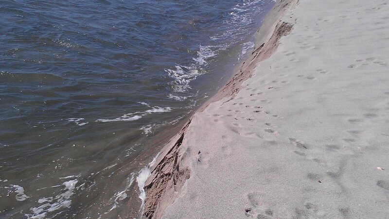 Footprints on Sandy Beach — Blue, Calm