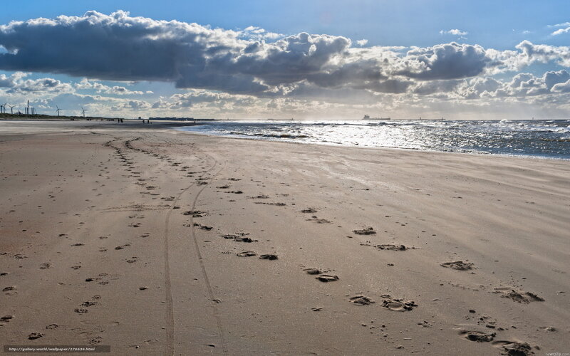 Footprints on Sandy Beach — Blue, Dramatic, Afternoon