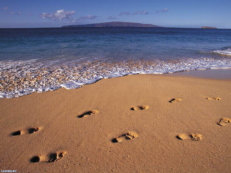 Footprints on Sandy Beach — Brown