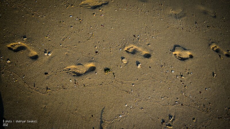 footprints on sandy beach